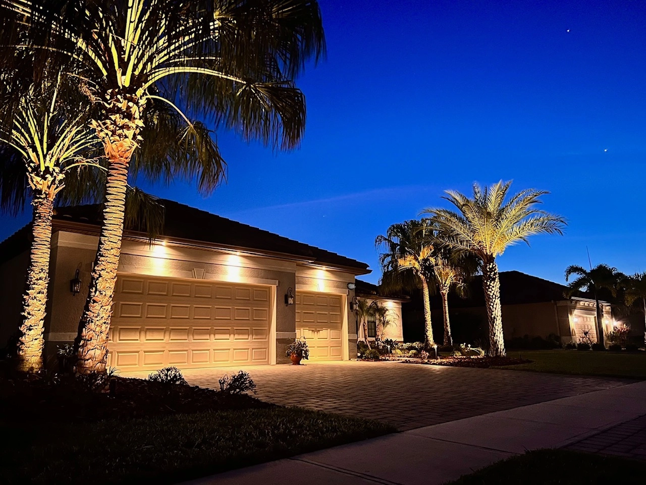 Nighttime exterior view of a home with illuminated palm trees, driveway lighting, and garage lights.